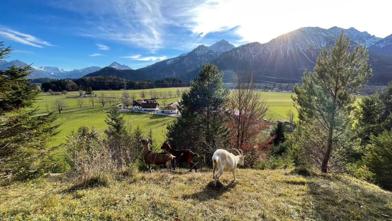 Apartmán Gutshof Zum Schluxen Pinswang Exteriér fotografie