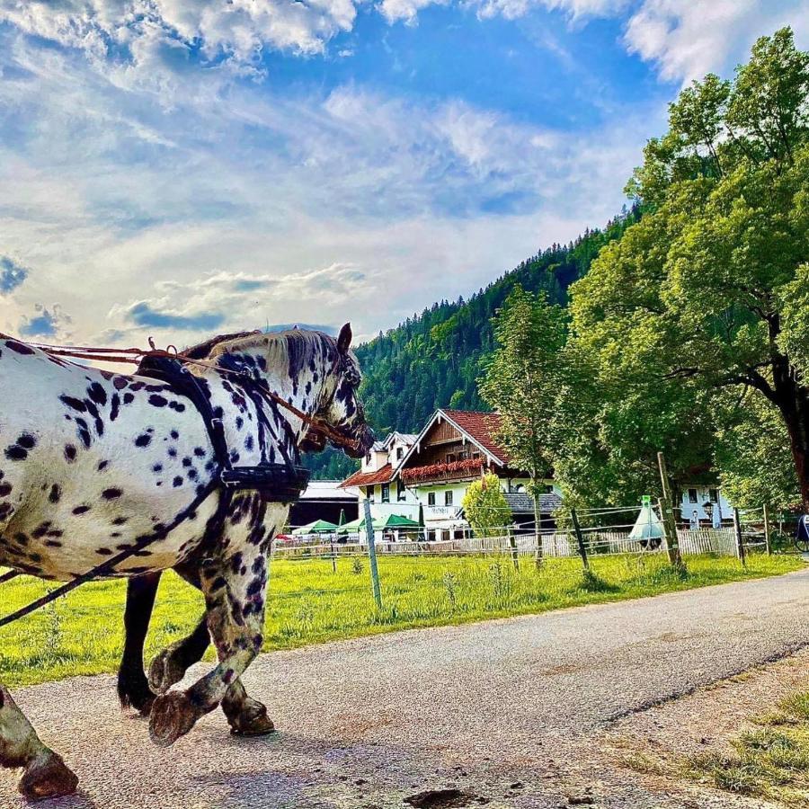 Apartmán Gutshof Zum Schluxen Pinswang Exteriér fotografie