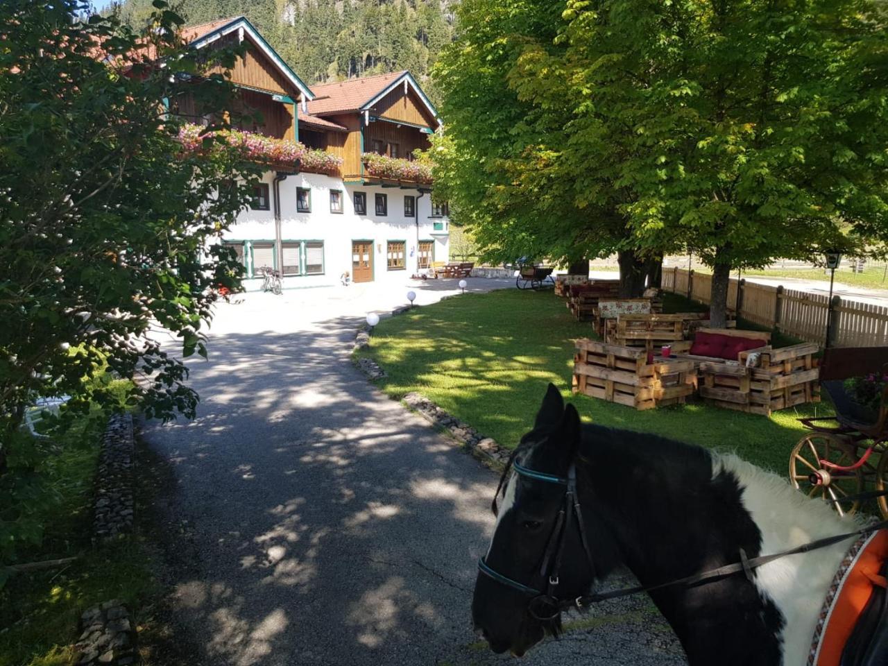 Apartmán Gutshof Zum Schluxen Pinswang Exteriér fotografie