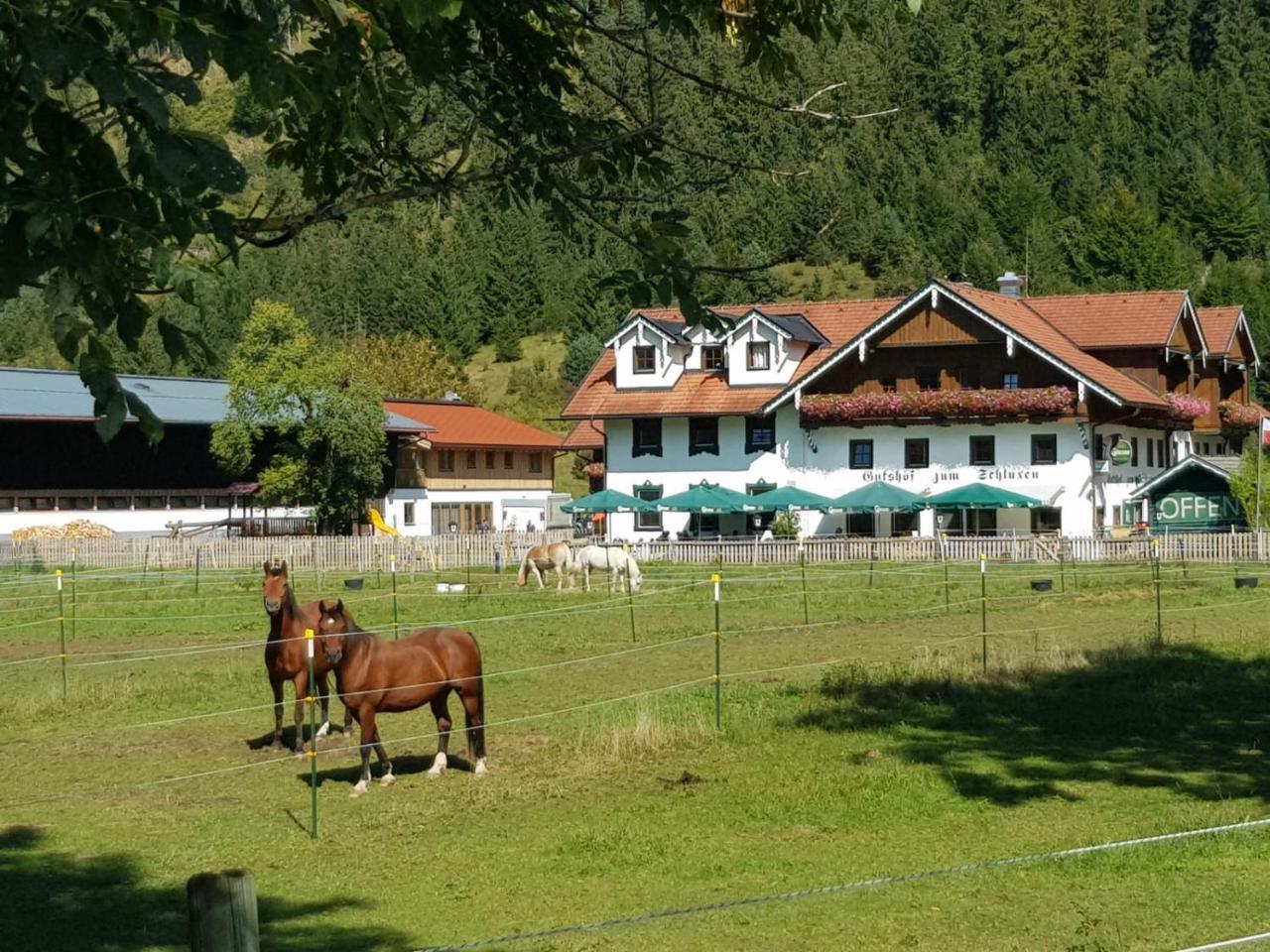 Apartmán Gutshof Zum Schluxen Pinswang Exteriér fotografie